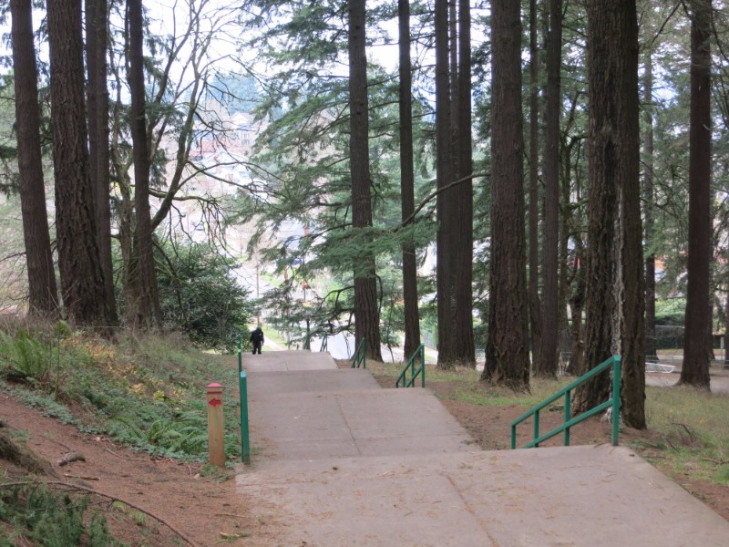 Mt. Tabor Park Trails